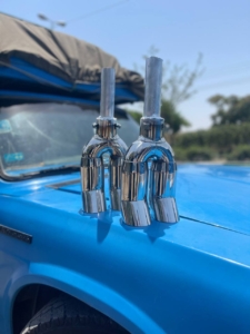 سراگزوز دلول اصلی (جغدی)